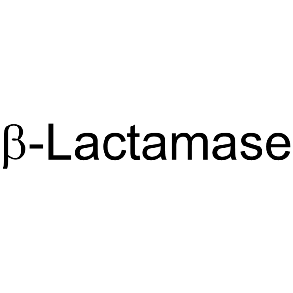 β-Lactamase 9073-60-3